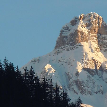 Affittacamere Pizzeria Marmolada Rocca Pietore Exteriör bild