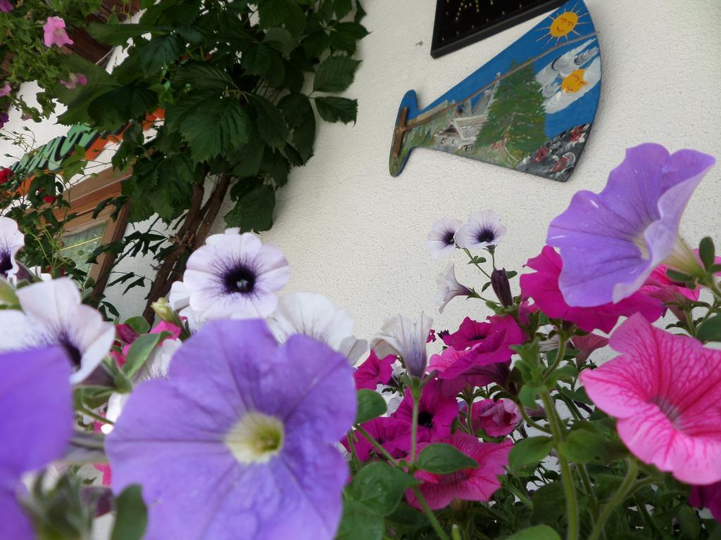 Affittacamere Pizzeria Marmolada Rocca Pietore Exteriör bild